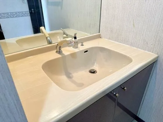 ダイヤパレスグランビュー住吉 5階 ３ＬＤＫ