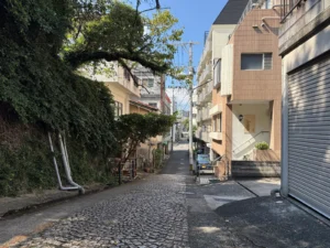 長崎市の石畳の坂道と住宅地の街並み